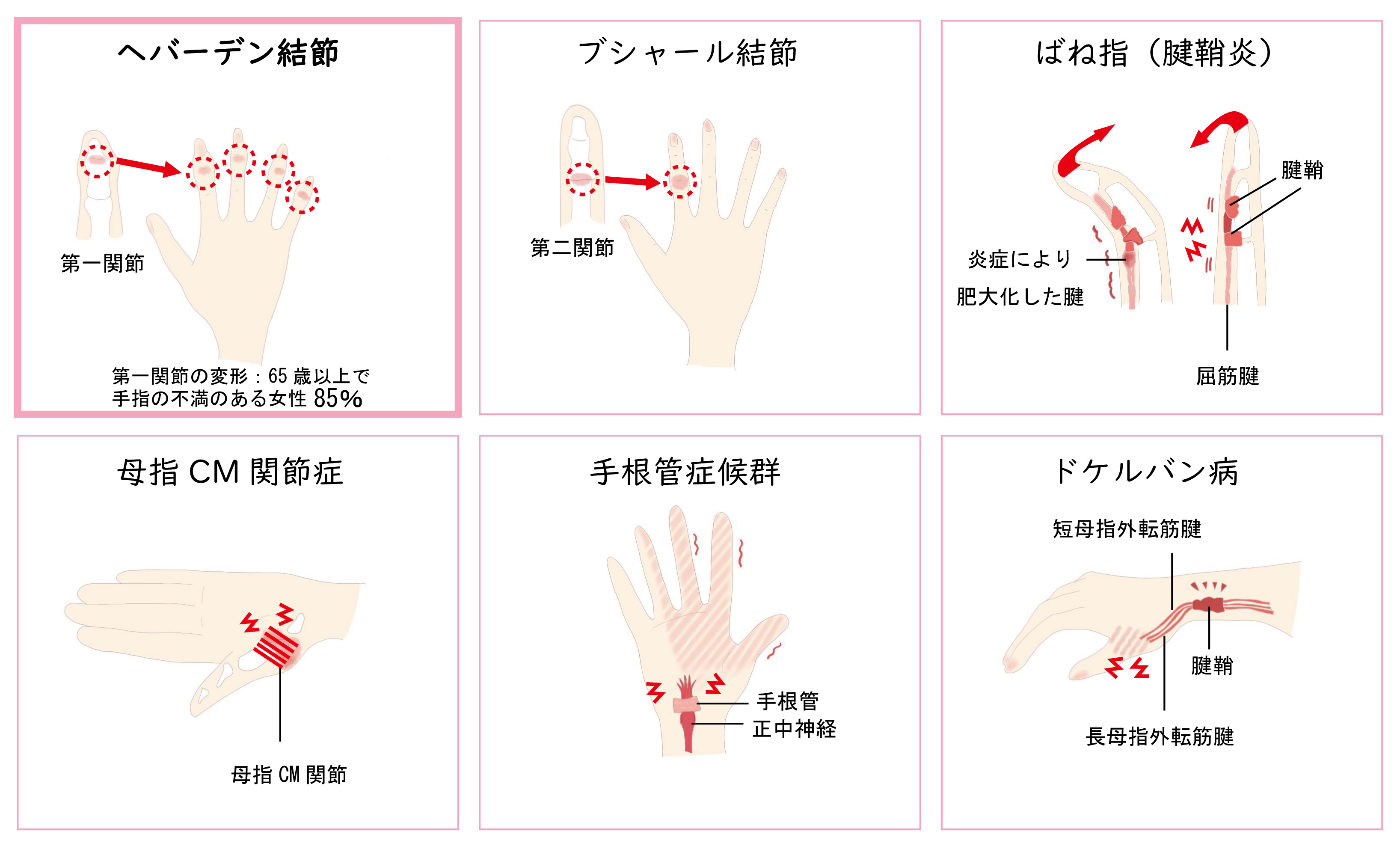 Six_Medical_Conditions.png